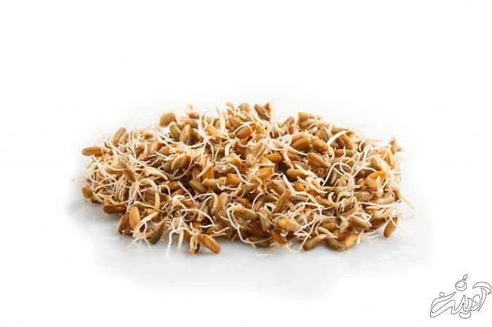 مضرات و عوارض جوانه گندم  عوارض جوانه گندم